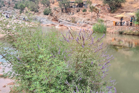 Agadir: Paradise Valley & Atlas Mountains Day Trip