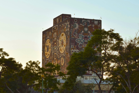 Mexico City: Frida Kahlo City Tour, with optional museum and Xochimilco Basic Option: Doesn't include admission to the Frida Kahlo Museum or lunch