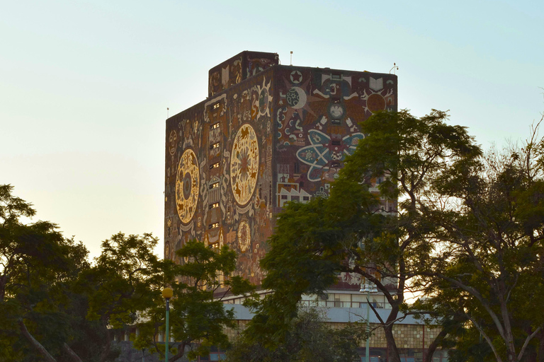 Mexico City: Frida Kahlo City Tour, with optional museum and Xochimilco Basic Option: Doesn't include admission to the Frida Kahlo Museum or lunch