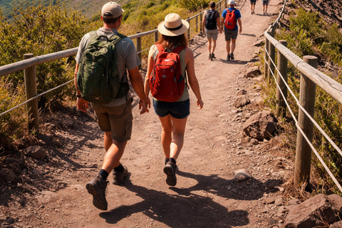 Mount Vesuvius Tour with Skip-the-Line Ticket from Naples