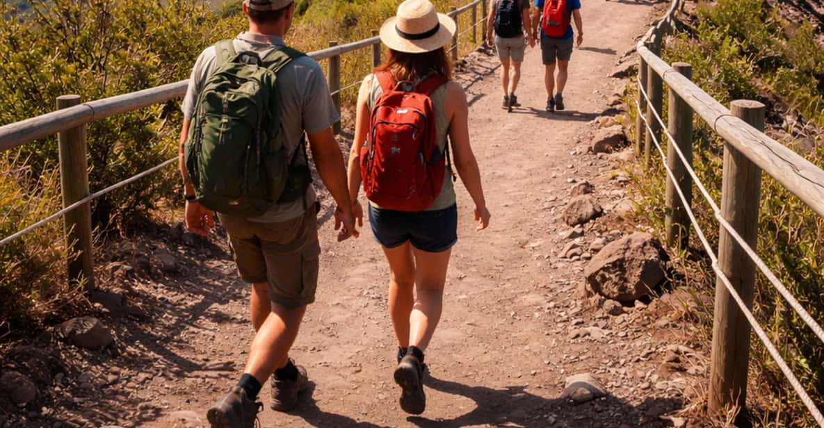 Afbeelding 1 van Vesuvius-tour met ticket met voorrangstoegang vanuit Napels