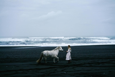 South Iceland: Icelandic Horse Black Sand Beach Ride