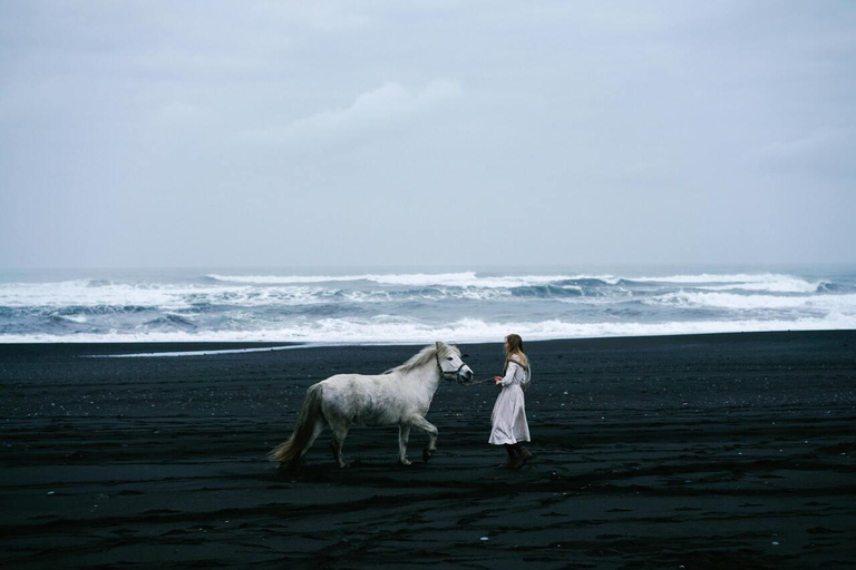 South Iceland: Icelandic Horse Black Sand Beach Ride