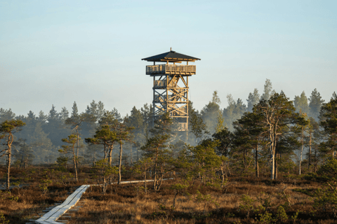 The Estonian Day Retreat at Lahemaa National Park