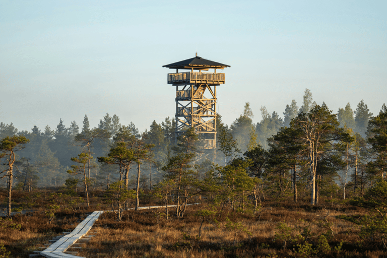 The Estonian Day Retreat at Lahemaa National Park