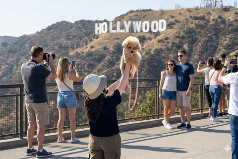 Los Angeles: Private City Tour with Photo and Video Option