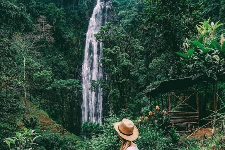 Moshi: Excursión a las cataratas, el café y las fuentes termales de Materuni