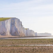 Londres: Excursão particular de um dia a Brighton e Seven Sisters Cliffs