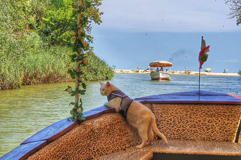 Visite privée d&#039;une jounée : Aladzha, Kamchia, Varna, Pobiti KamaniVisite d&#039;une jounée : Aladzha, Kamchia, Varna, Pobiti Kamani, etc.