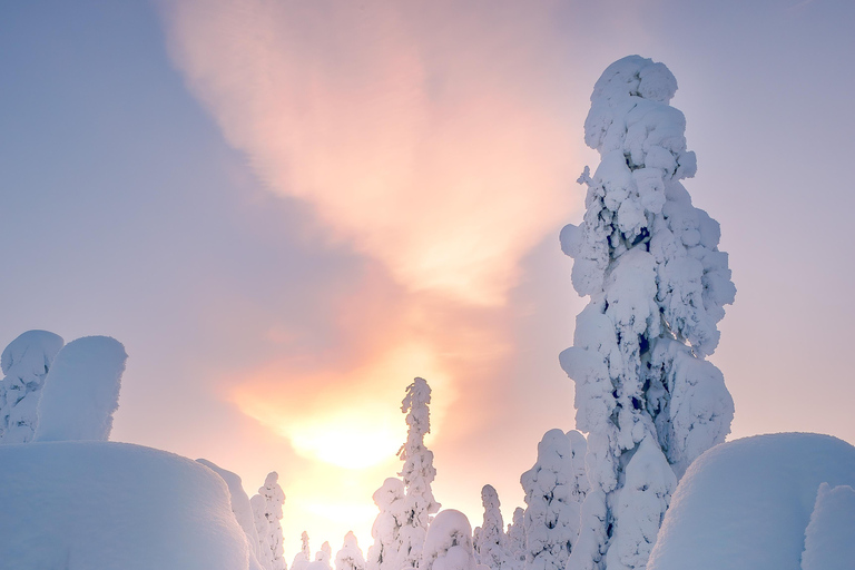 Rovaniemi: Family snowmobile safari with heated sleigh