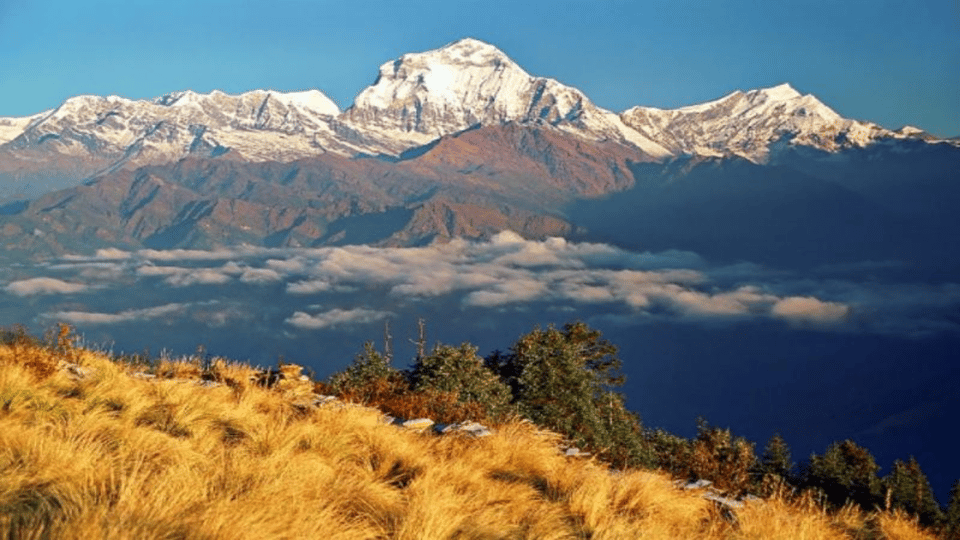 Fra Pokhara Budget 3 Dages Ghorepani Poon Hill Trek GetYourGuide