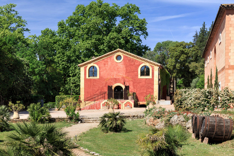 Tour del vino Côtes de Provence da NizzaTour enologico della Côtes de Provence da Nizza