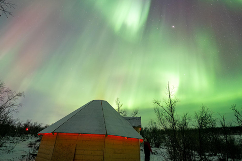 Abisko: Sami Culture, & Reindeer Encounter with Photos