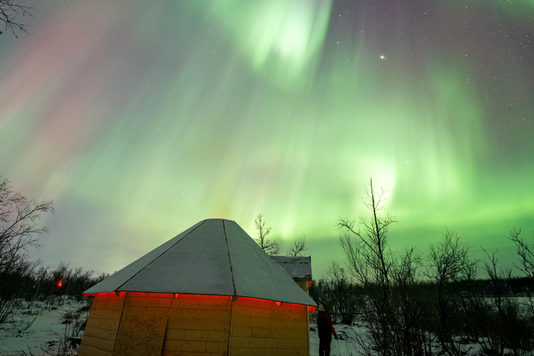 Abisko: Sami Culture, & Reindeer Encounter with Photos