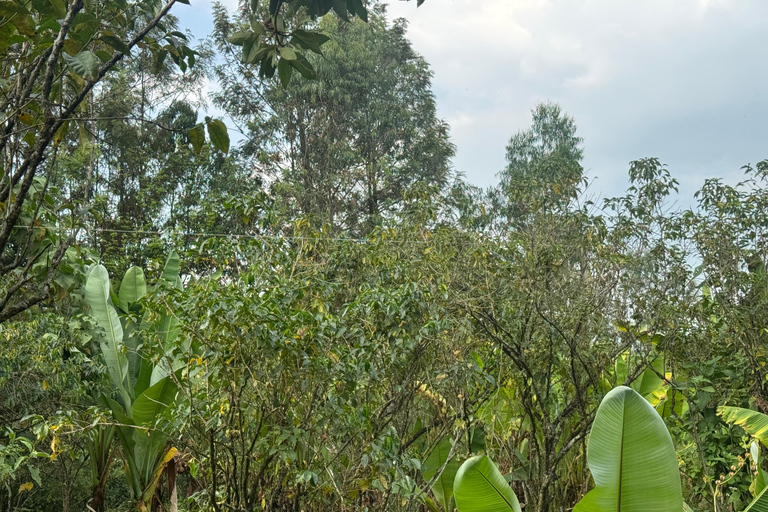 Addis Abeba: 6-dniowa wycieczka po jeziorach Rift Valley z posiłkami