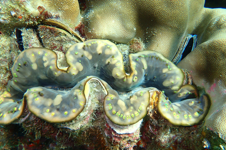 Ko Lanta: Smaragdhöhle und 4 Inseln Tour mit dem Longtailboot