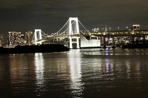 Tokyo: tour notturno privato con passaggio in hotel