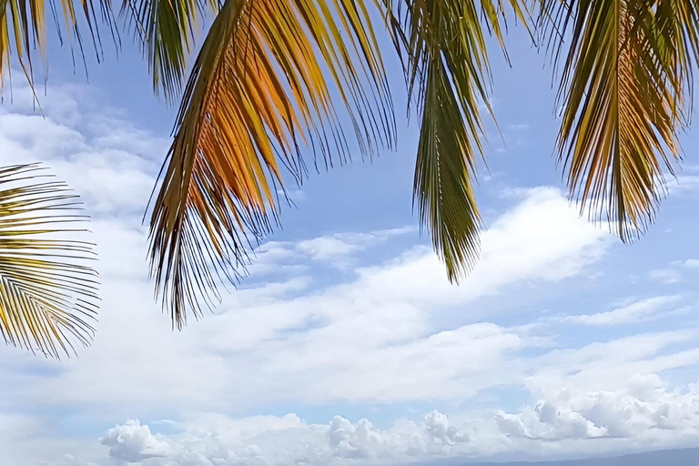 Bocas del Toro: tour en barco por Playa Estrella con guía