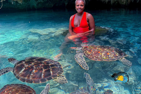 Zanzibar : forêt de Jozani, grotte de Salaam et restaurant The RockTransfert depuis n'importe quel endroit à Zanzibar