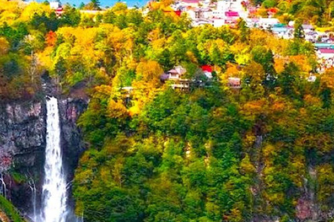 From Tokyo: Nikko UNESCO Sites Private English Guided Tour