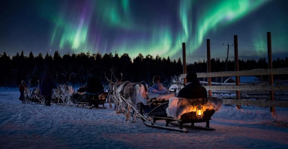 Rovaniemi: 3.5-km Northern Lights Reindeer Sleigh Ride