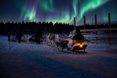 Rovaniemi: Northern Lights Reindeer Sleigh Ride 3,5km