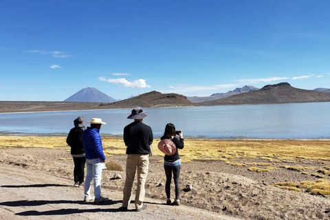 Arequipa: Wycieczka do laguny Salinas |Cały dzień|