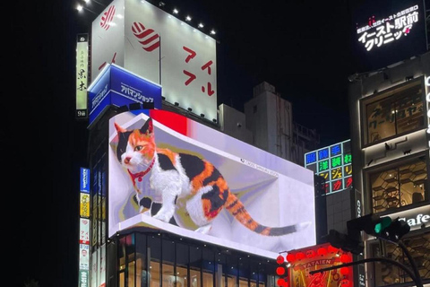 Tokyo Night Private Tour With English Speaking Driver