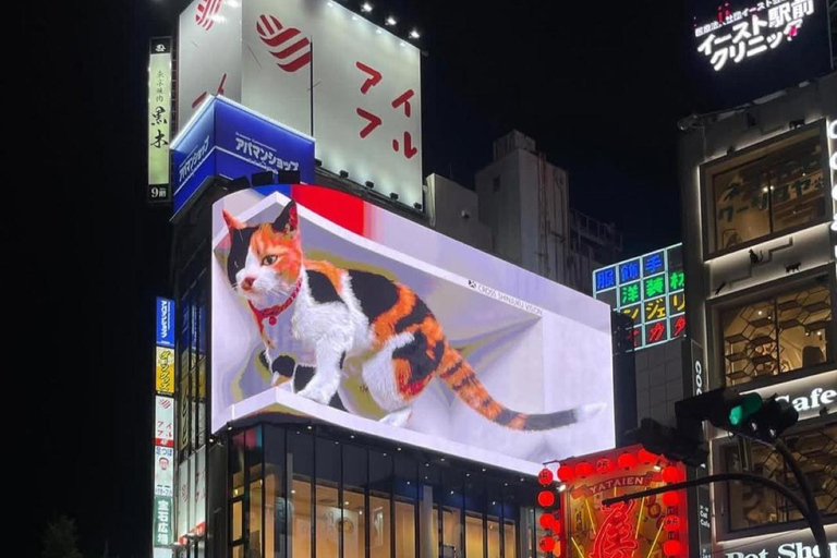 Tokyo Night Private Tour With English Speaking Driver