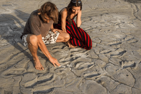 Arusha : expérience culturelle et safari masaï de 5 joursArusha : expérience culturelle masaï et safari de 5 jours