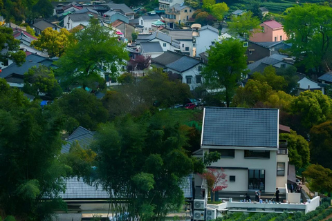 Hangzhou: Longjing Village Tea Picking and Tasting Tour