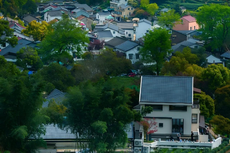 Hangzhou: Longjing Village Tea Picking and Tasting Tour