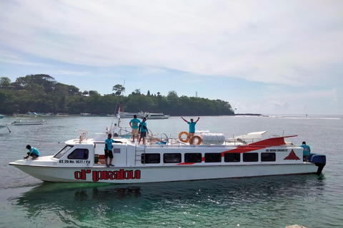 Bali: Schneller Bootstransfer nach/von Gili Air, Trawangan, LombokGili Air nach Padang Bai Bali