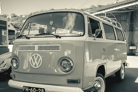 VW VAN Tours | NORDESTE