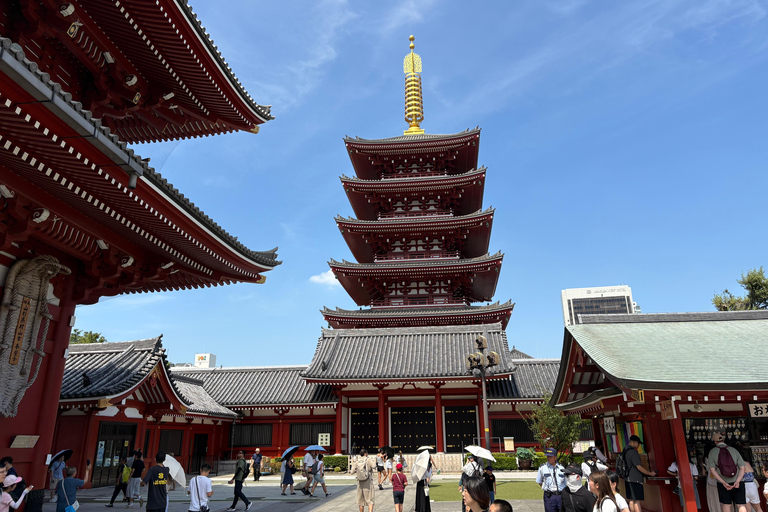 东京：本地导游带领的私人城市观光之旅豪华SUV 3人座