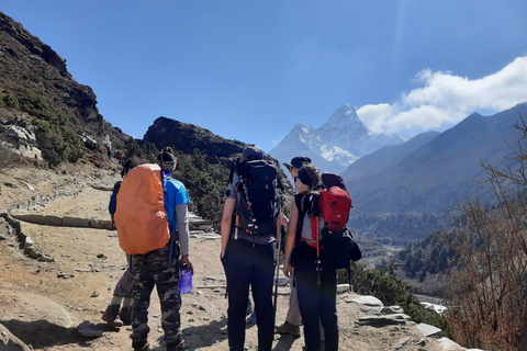 Trek to Everest Base Camp