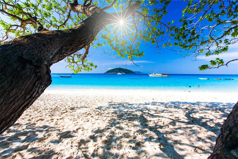 Phuket: Similan Islands Speedboat Tour with Lunch