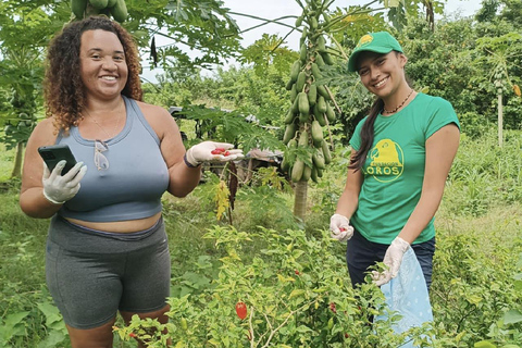 UTV & Horseback Tour with Wildlife Views from Cartagena