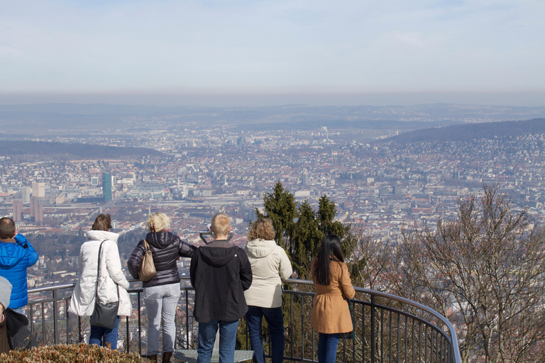 Aventura en transporte por Zúrich: Rueda dentada, Funicular y tour en barcoExcluyendo las subidas más largas