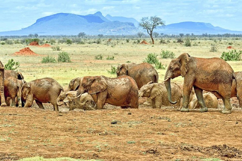 Tsavo East National Park: 3-Day Safari with Accommodation