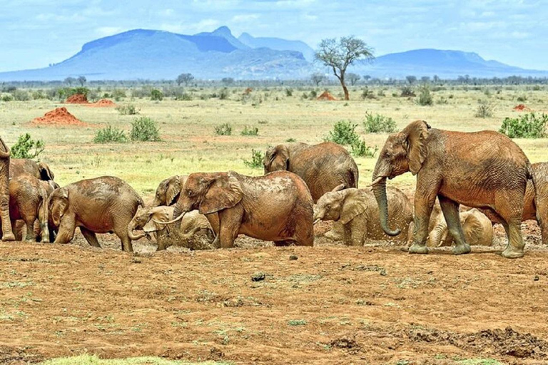 Tsavo East National Park: 3-Day Safari with Accommodation