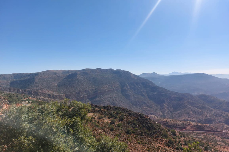 Agadir: High Atlas Mountains, Goats on Trees & Garden Tour