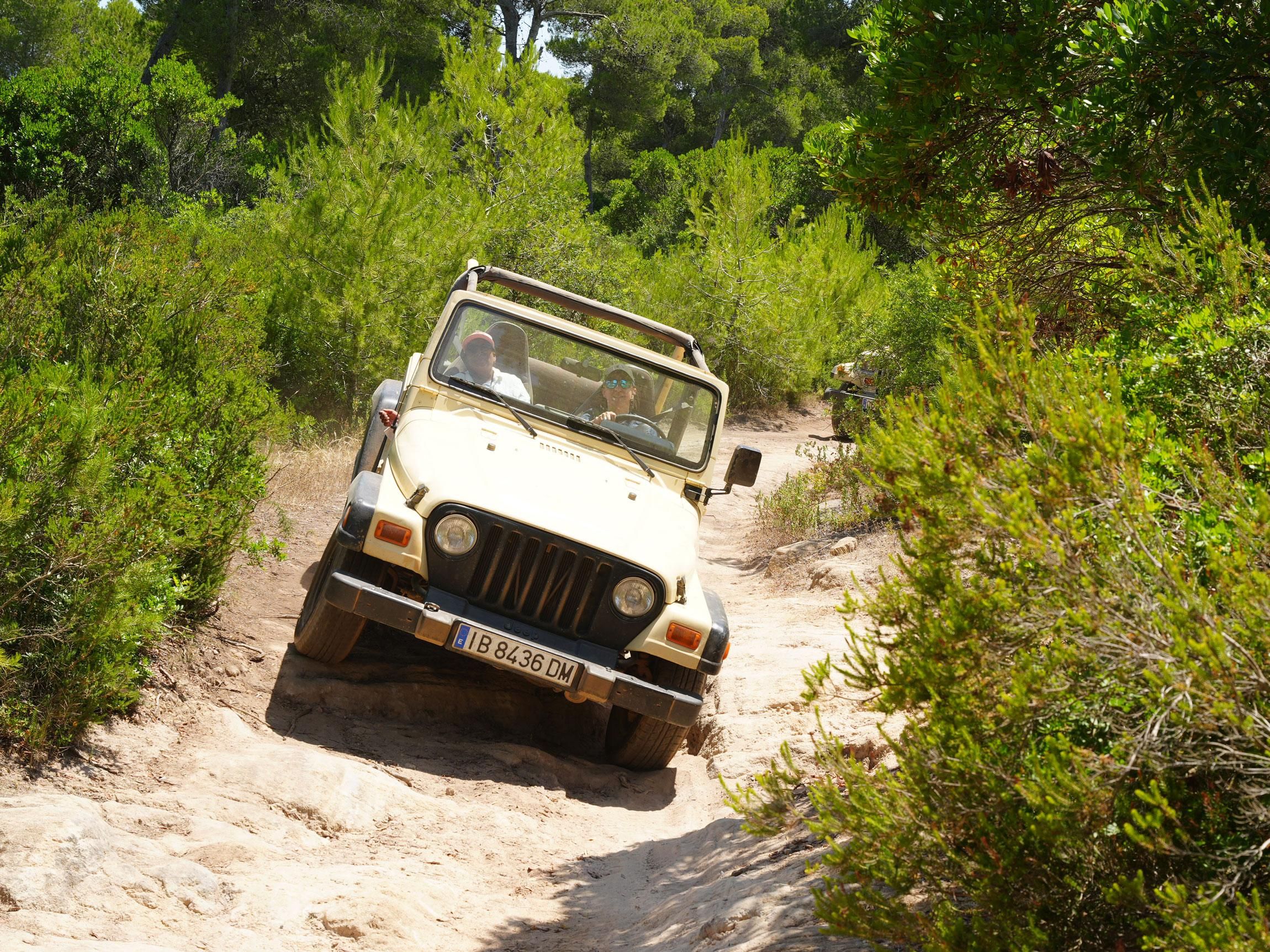 Cala Millor: geführte Jeep Tour mit Natur, Offroad & BBQ - Selbstfahrer