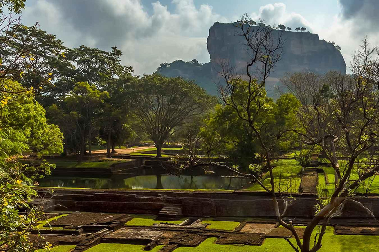 Sigiriya & Dambulla: with Jeep Safari Tour From Trincomalee