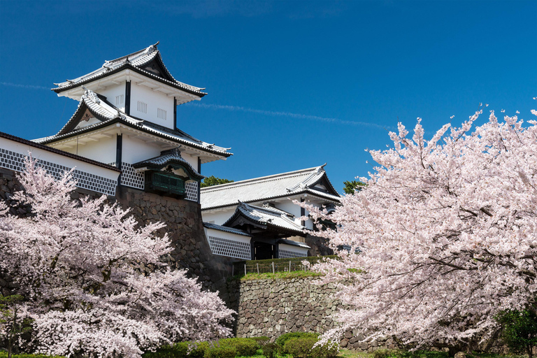 Kanazawa: Nostalgisk rundtur i Shirakawa-go och Kanazawa