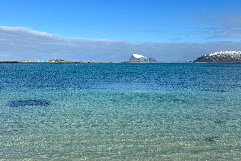 Tromso: SENJAtional: Sommaroy and Senja (7 people max) Tromso: One Day Trip to Senja