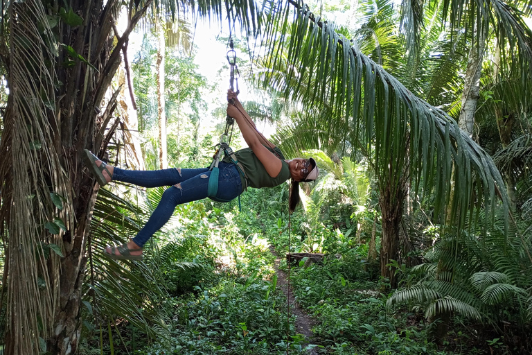 Puerto Maldonado: Tambopata Adventure + Lunch + 5 Activities