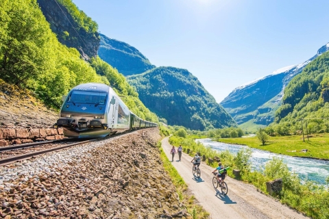 Bergen: croisière privée dans le fjord et chemin de fer Flåm
