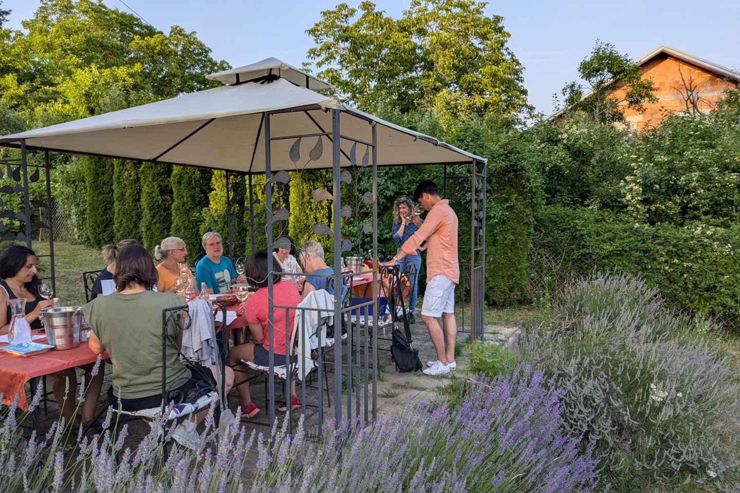 Novi Sad: Fruška Gora Wine Tasting with Local Bites