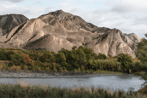 Från Tbilisi: Dagsutflykt till Vashlovani nationalpark